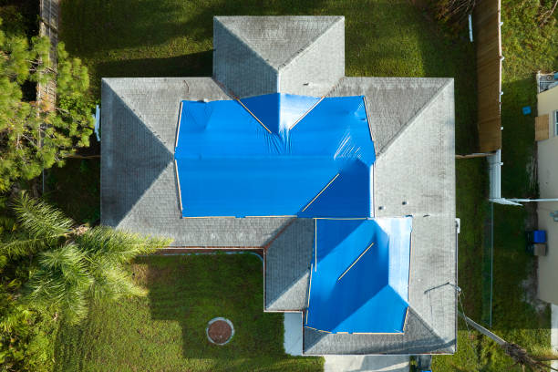Best Green or Eco-Friendly Roofing Solutions  in Hodgkins, IL