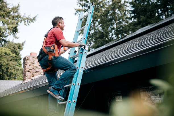 Best Slate Roofing  in Hodgkins, IL