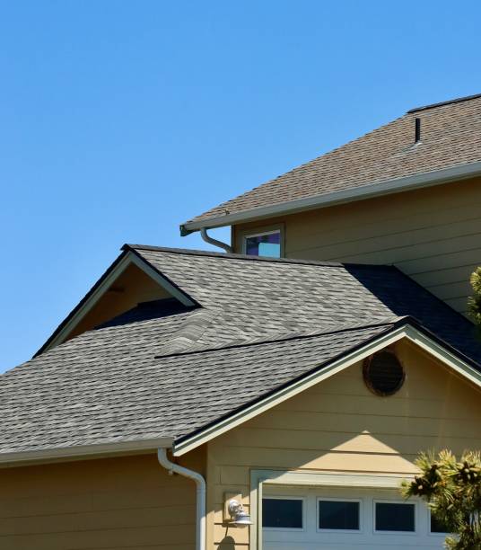 Best Gutter Replacement  in Hodgkins, IL